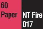 NT Fire 017 classe 60 Paper (résistance au feu de 60 minutes pour les dossiers papier)