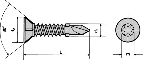 Flügelbohrschrauben SIMPSON Strong-Tie CBSDQ