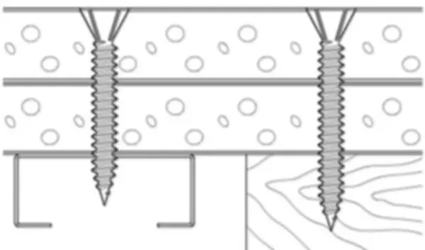 Vis de fixation rapides FERRONORM