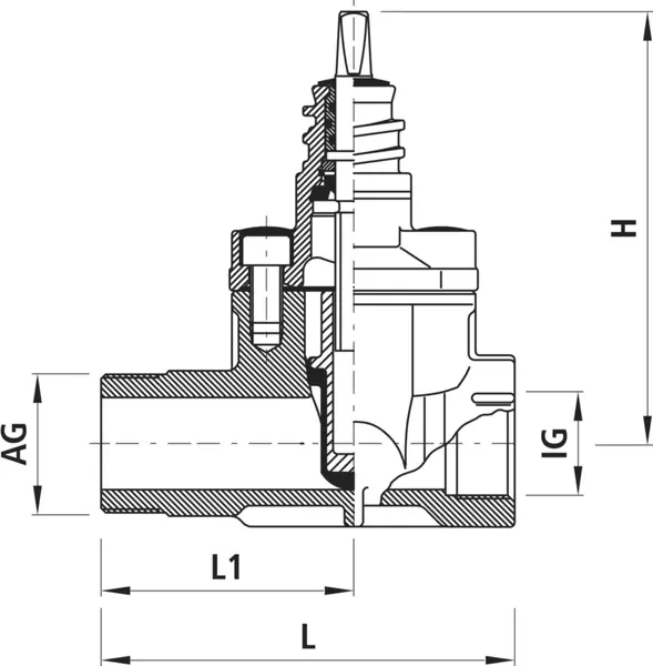 Schieber AG/IG HAWLE 2525