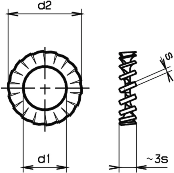 Ranelle dentellate 