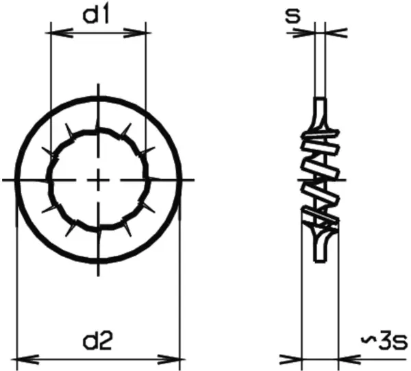 Ranelle dentellate 