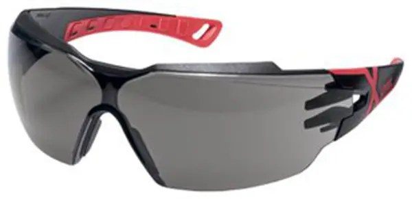 Schutzbrillen UVEX 2C-3 W1 FTKN CE grau schwarz / rot