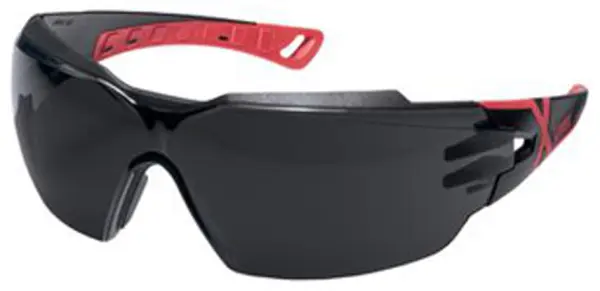 Schutzbrillen UVEX 2C-5 W1 FTKN CE grau schwarz / rot
